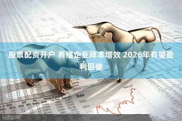 股票配资开户 养殖企业降本增效 2026年有望盈利回暖